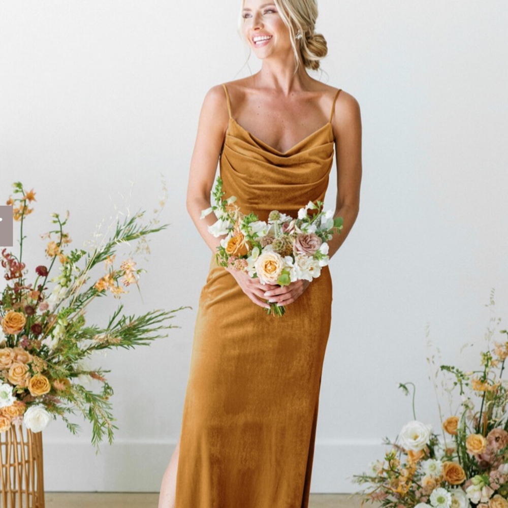 Revelry Skye Velvet Dress